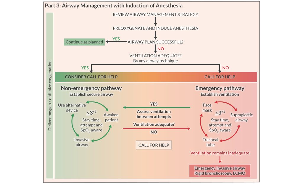 Infographic of the ASA algorithm update for the pre-airway management decision making tool, part 3- leads to non-emergency pathway or emergency pathway