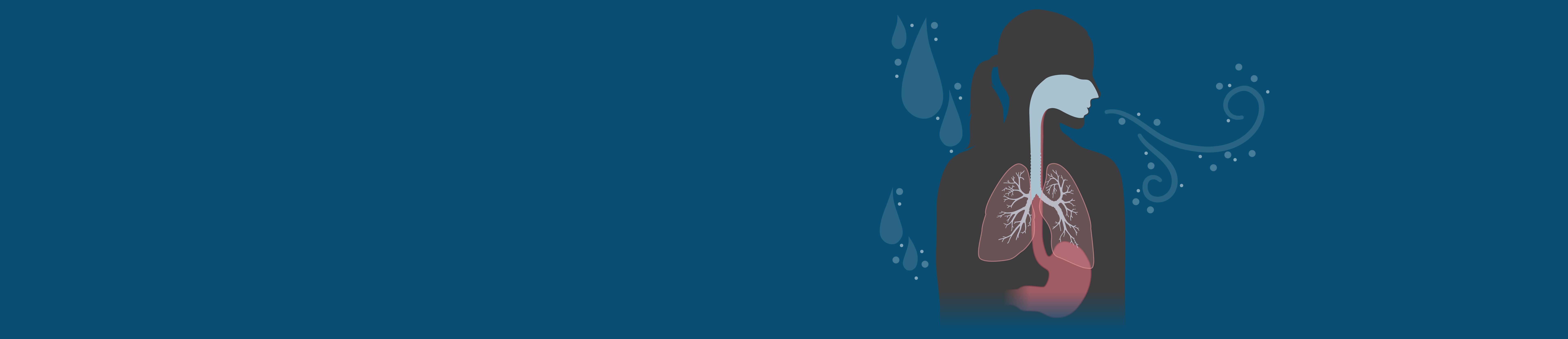 microplastics in the human body hero