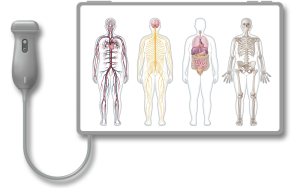 Diagram of human body systems: circulatory, nervous, digestive, and skeletal, shown on a medical screen.