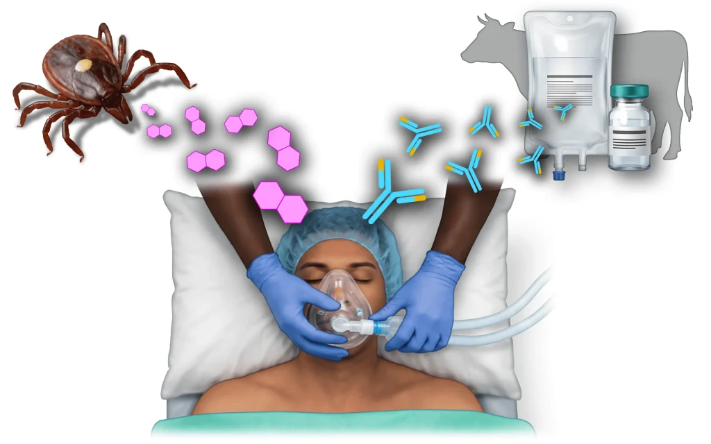 Alpha-Gal and Anesthesia